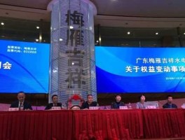 梅雁集团（梅雁集团的董事长是谁）