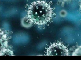 曝发现6种冠状病毒，什么是冠状病毒？