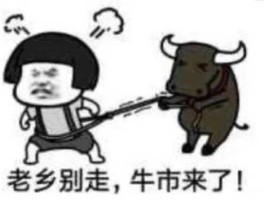 这轮牛市没有山寨季？