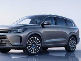 601127（601127赛力斯怎么样？）