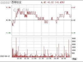 000557西部创业公告（ooo557西部创业）