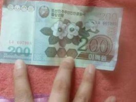 人民币可以在朝鲜用吗(人民币兑朝鲜币怎样兑)