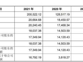 江租申购（江盐申购主营业务什么？）