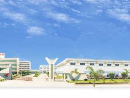 广东鸿图科技？广东鸿图科技股份有限公司工作条件怎么样？前途怎样？