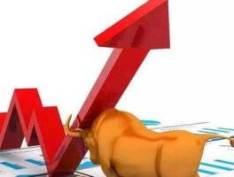 新股市牛股（新股牛市中的表现）