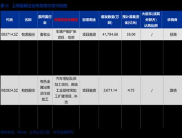 600096股票（山东mtbe上市公司股票？）