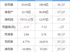 600375股票（汉马科技是干嘛的？）