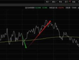 新币，张卫民庄股翻倍计划可靠吗？