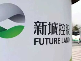 新城控股今年遇到什么问题了（新城控股目前状况如何）