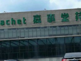 嘉事堂？嘉事堂主营业务？