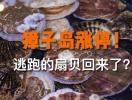 獐子岛，獐子岛扇贝事件来龙去脉？