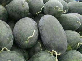 黑美人西瓜产地，中国四大西瓜产地？