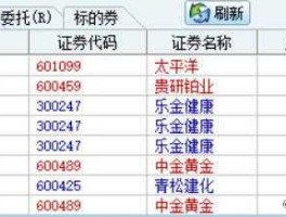 600489股票，中金公司的介绍？
