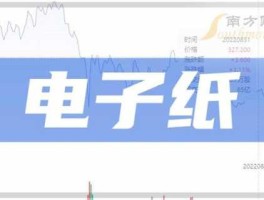 300923（电子纸概念股？）