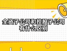 全资子公司，什么是全资公司？