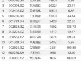 仁智油服股票，民营石油公司股票有哪些？