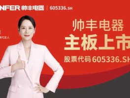 帅丰电器，帅丰是杂牌吗？