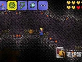 新矿吧 泰拉瑞亚的蚁穴有没有新矿吗？