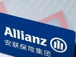 安联大众人寿保险有限公司（安联大众保险公司基本简介）