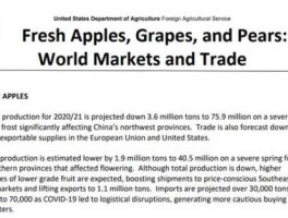 usda报告？usda报告公布时间？