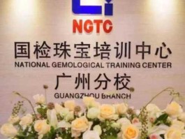 珠宝培训学校？国检珠宝培训中心哪个校区好？