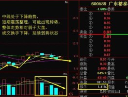 股票600589？广东榕泰的介绍？