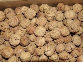 核桃价格创新低，市面上核桃大概多少钱一斤？