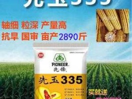 先玉335 转基因（转基因玉米都有什么品种？）