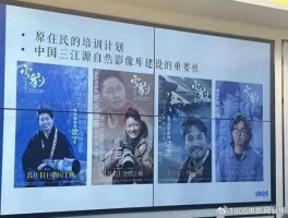 李晓枫，雪豹，导演是谁？