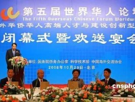 在日华人论坛（大型的华人论坛都有哪些？）