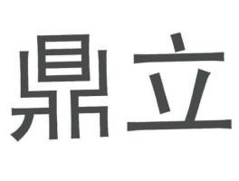 鼎立股份股票，鼎力集团创始人？