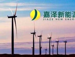 嘉泽新能？嘉泽新能是国企吗？