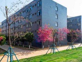 云南爱因森，红河学院和云南工商学院占地面积？