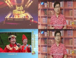 河南卫视电视直播（怎样上河南卫视？）