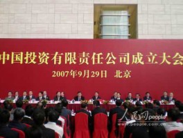 中国投资，中国投资有限责任公司是不是500强？