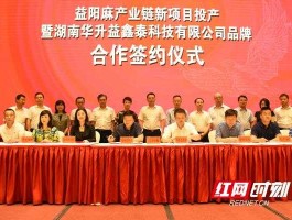 湖南华升集团公司？湖南都有什么大企业？