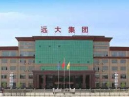 远大集团上市了吗（远大集团上市没）