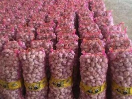 大蒜报价（2024年干大蒜5元一斤吗？）