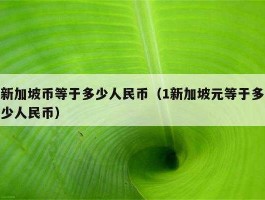 新加坡元（新加坡元兑换人民币）