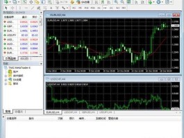 metatrader5外汇交易平台(matatrader5外汇交易平台)