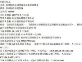 519666 场内可以购买的债券基金一共有几个？