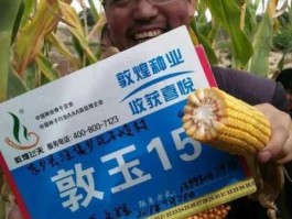 敦煌种业股票？敦煌种业有哪些玉米品种？