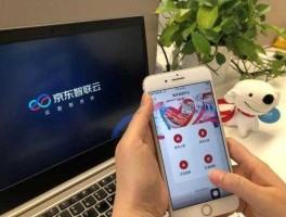 京东智联云 京东智联云是什么意思？