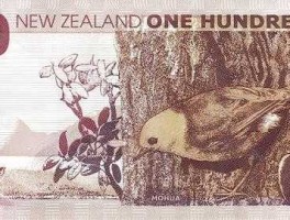 nzd是什么货币(nzd是什么货币单位)