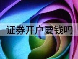 网上开户和证券公司开户区别（股票网上开户和证券公司开户有什么区别）