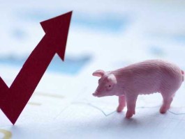 猪肉股市（猪肉股市有哪些）