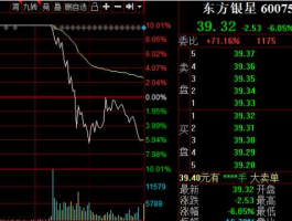 东方银星，东方银星是做什么的？