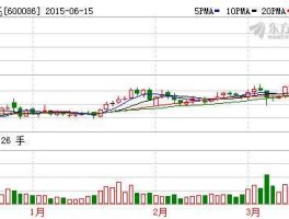 东方金钰600086，鞋贸是什么股票？