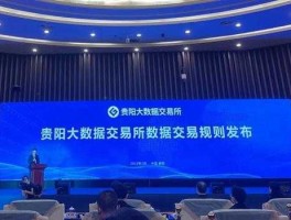 大数据概念股（贵阳大数据交易所概念股？）