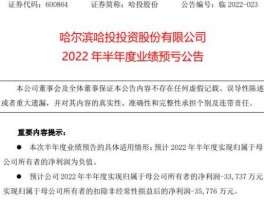 哈投股份 哈投股份是国企还是私企？